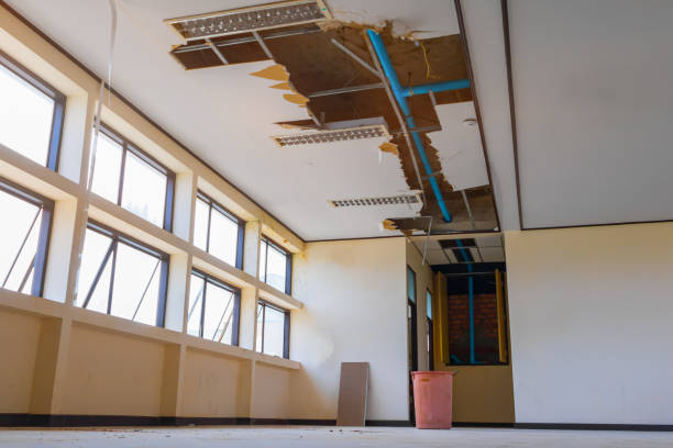Best Professional water damage repair  in Dade City North, FL