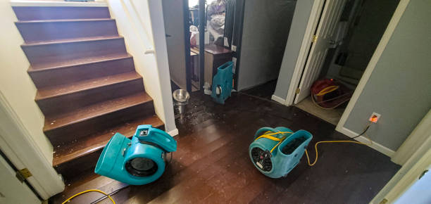 Best Water damage contractors near me  in Dade City North, FL