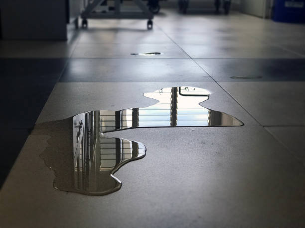 Best 24/7 water damage repair  in Dade City North, FL