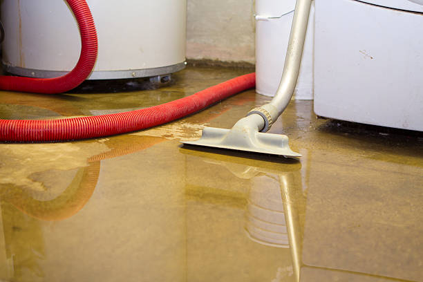 Best Professional water damage repair  in Dade City North, FL
