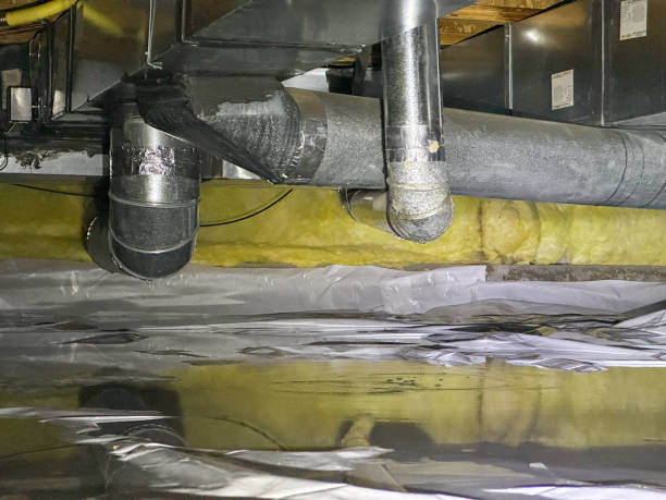 Best Local water damage restoration  in Dade City North, FL