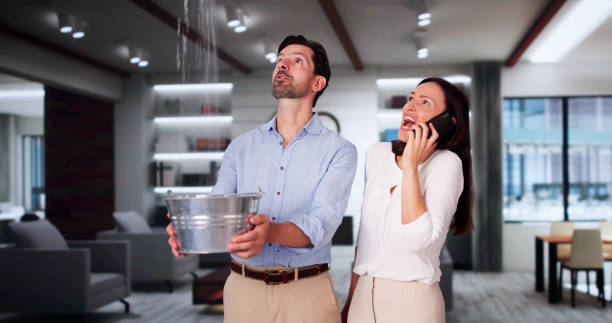 Best Water damage cleanup near me  in Dade City North, FL