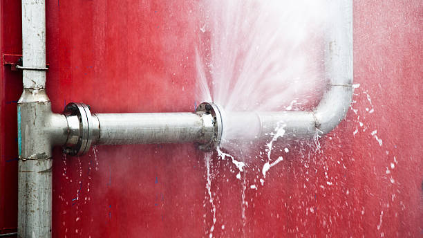 Best Mold removal after water damage  in Dade City North, FL
